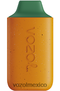 VOZOL STAR 6000 sandia mango durazno NJXD120 VOZOL vape precio