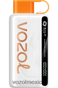 VOZOL STAR 9000/12000 Lima Limon NJXD42 VOZOL vape sabores