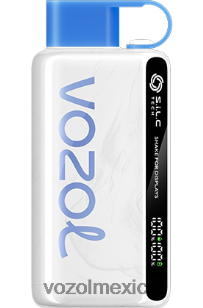 VOZOL STAR 9000/12000 hielo azul NJXD21 VOZOL vape flavors