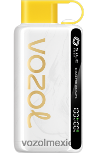 VOZOL STAR 9000/12000 hielo de piña y coco NJXD46 VOZOL vape sale