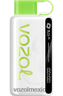 VOZOL STAR 9000/12000 kiwi fresa NJXD31 VOZOL vape flavors