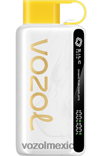 VOZOL STAR 9000/12000 kiwi maracuyá guayaba NJXD25 VOZOL vape recargable