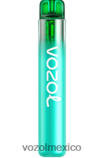 VOZOL NEON 800 arándano frambuesa agria NJXD246 VOZOL vape sale