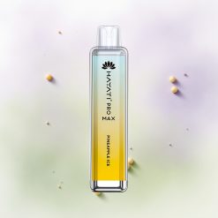 Hayati Pro Max 4000 Piña Hielo Recargable 2ml