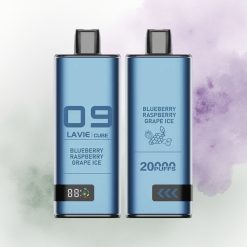 Lavie Cube 20000 Helado de Mora Arándano Uva Tipo C 600mAh